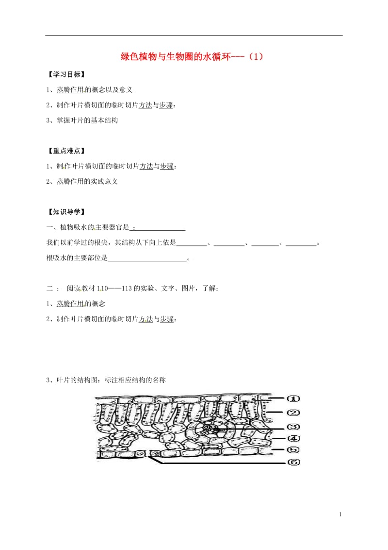 山东省临沂市七年级生物上册3.3绿色植物与生物圈的水循环学案1无答案新版新人教版_第1页