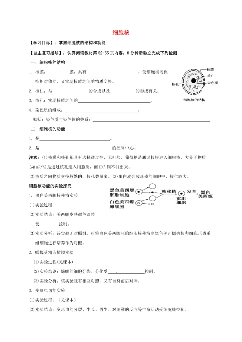 高三生物 细胞核复习学案_第1页