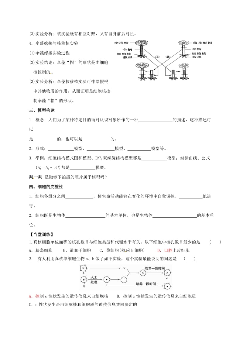 高三生物 细胞核复习学案_第2页