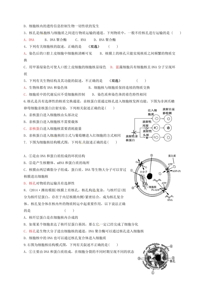 高三生物 细胞核复习学案_第3页