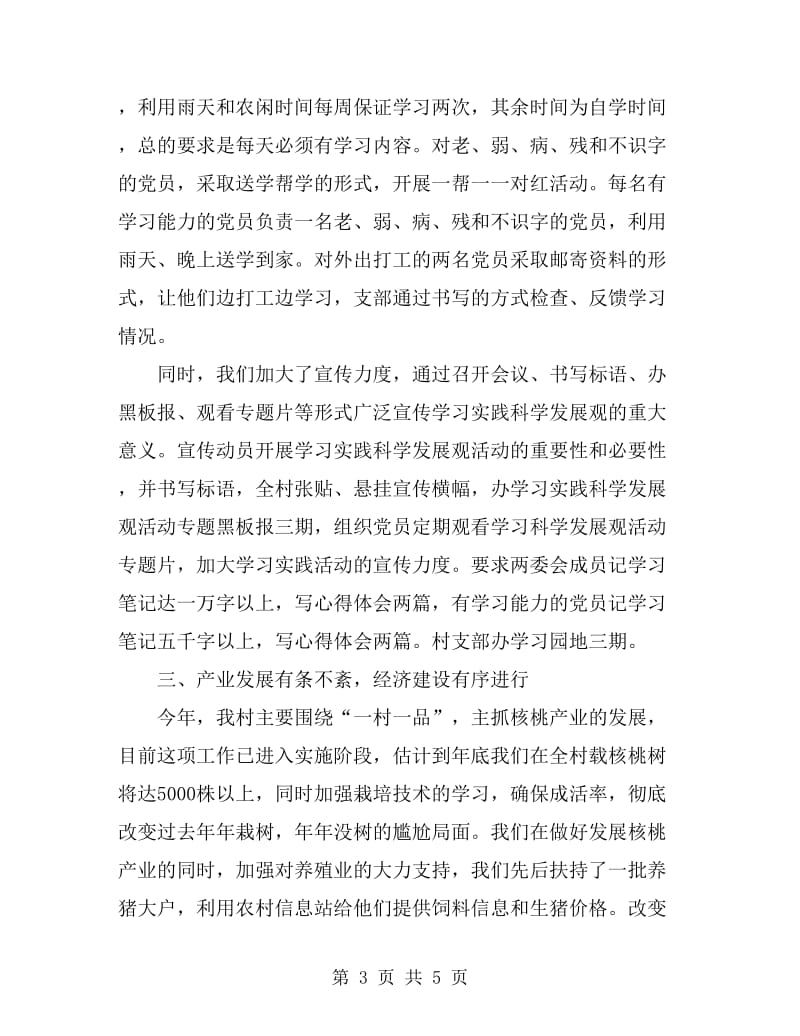 2019年村支部书记个人述职报告_第3页