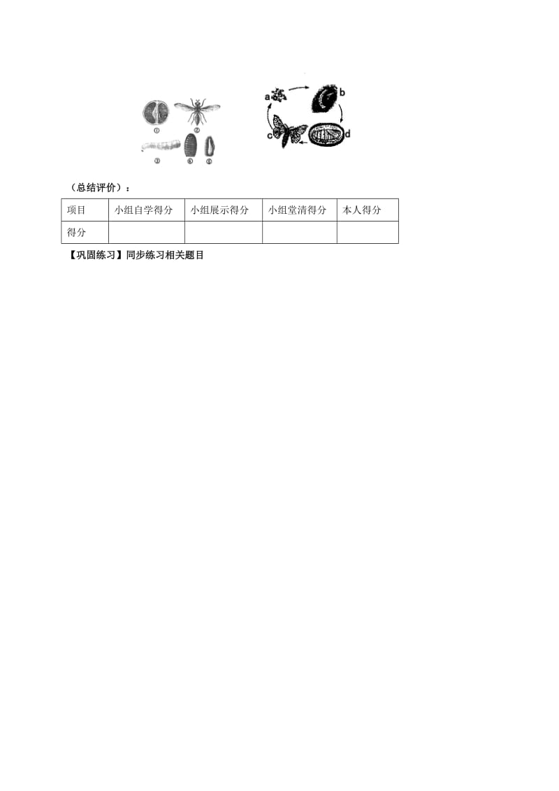 八年级生物上册 20_2 动物的发育学案（新版）苏科版_第3页