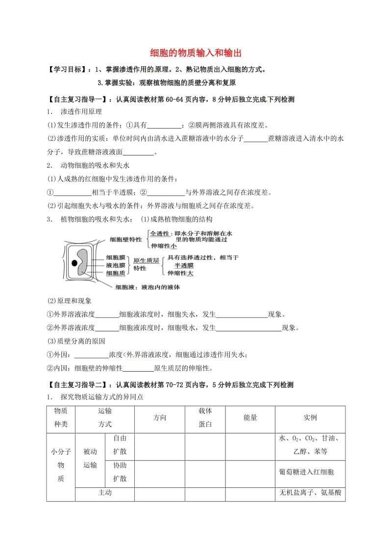 高三生物 细胞的物质输入和输出复习学案_第1页