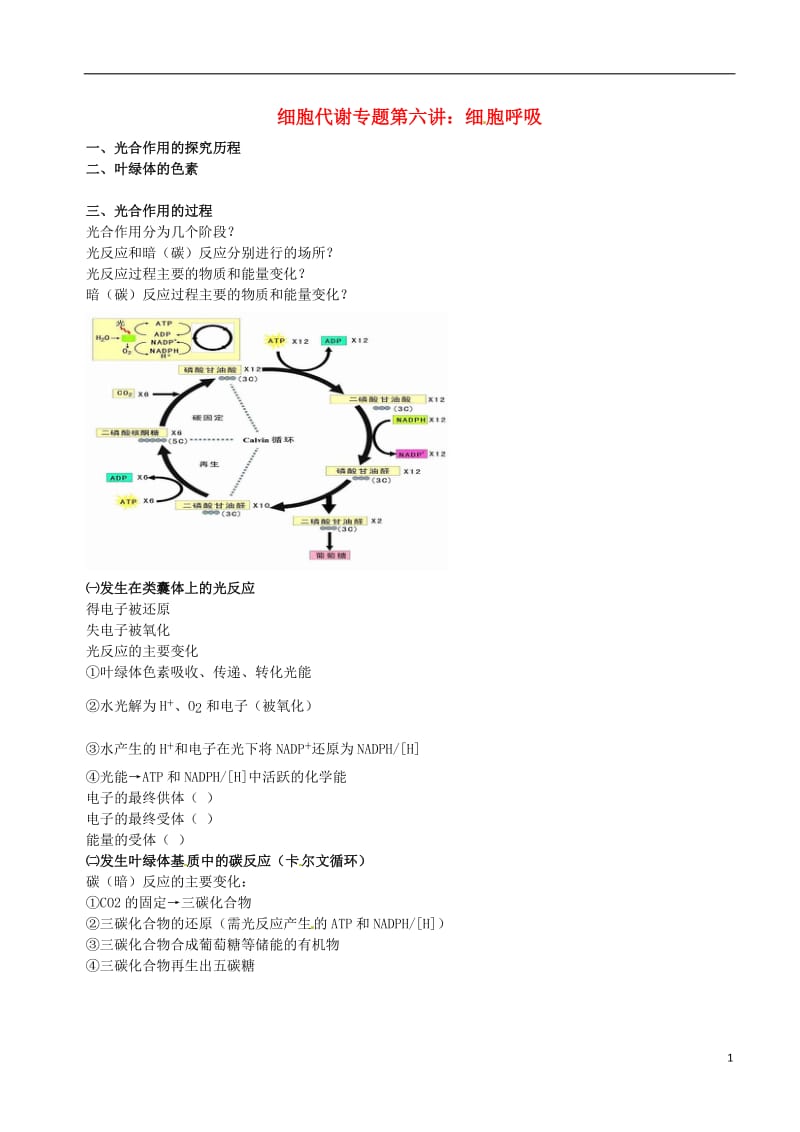 高中生物 光合作用（二）素材 新人教版必修1_第1页