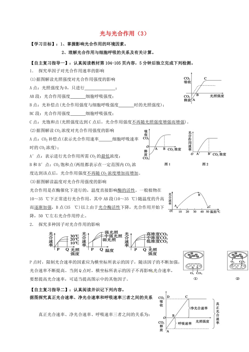 高三生物 光合作用复习学案3_第1页