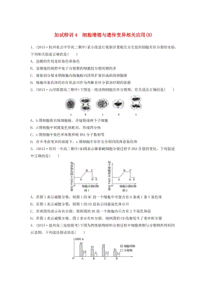 高考生物考前特訓(xùn)總復(fù)習(xí) 第二部分 加試30分特訓(xùn) 加試訓(xùn)練4 細(xì)胞增殖與遺傳變異相關(guān)應(yīng)用(B)