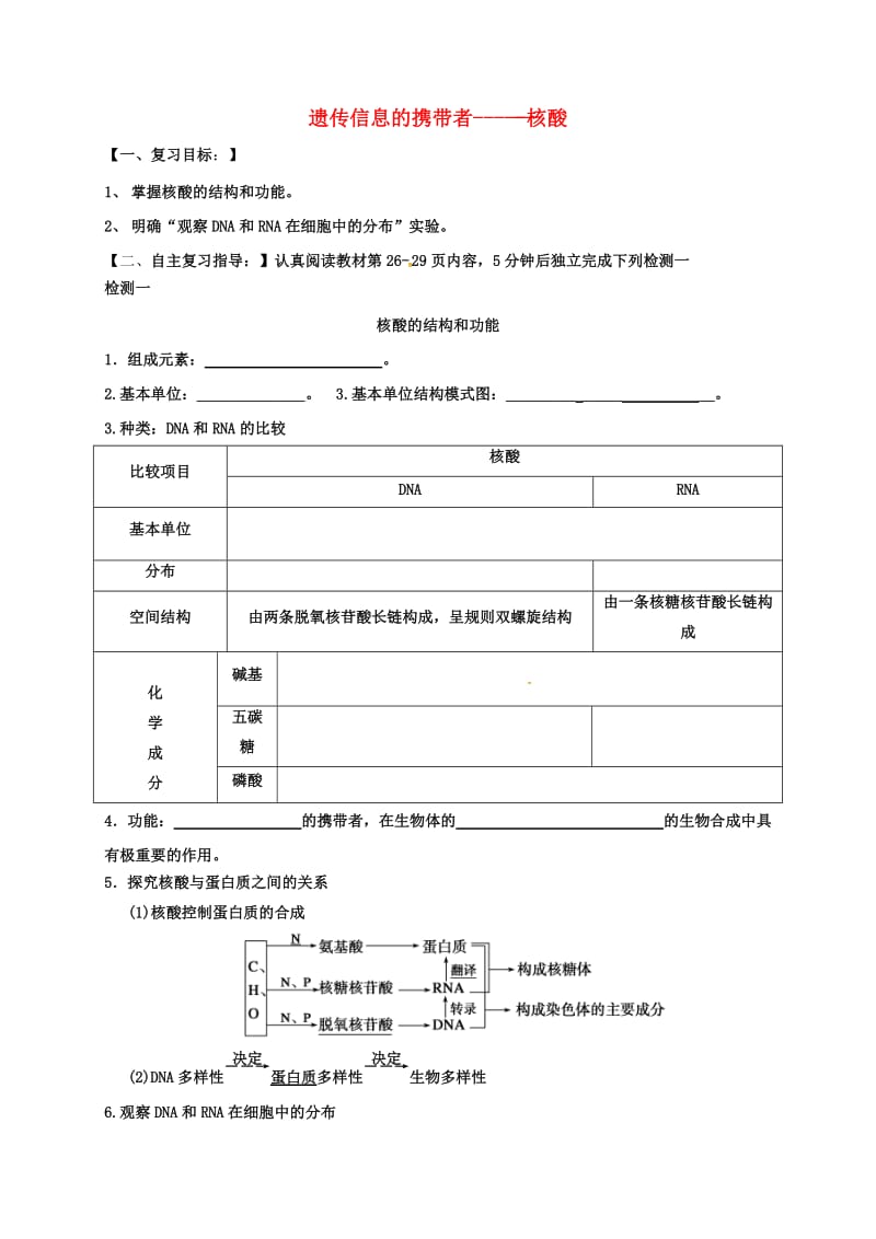 高三生物 核酸复习学案_第1页