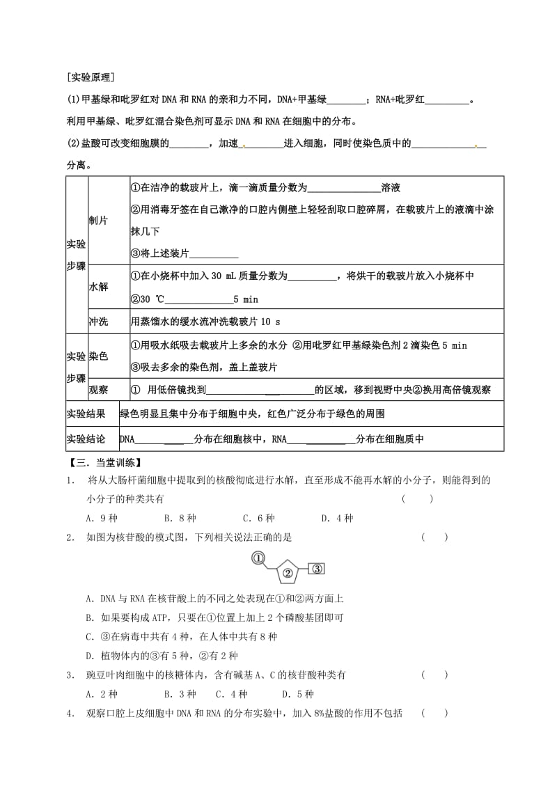 高三生物 核酸复习学案_第2页