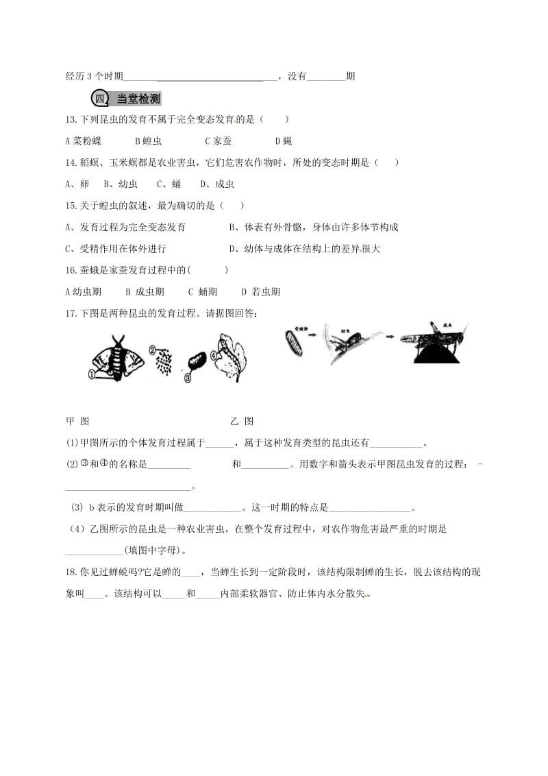 八年级生物下册 第七单元 第一章 第二节 昆虫的生殖和发育学案（新版）新人教版_第3页