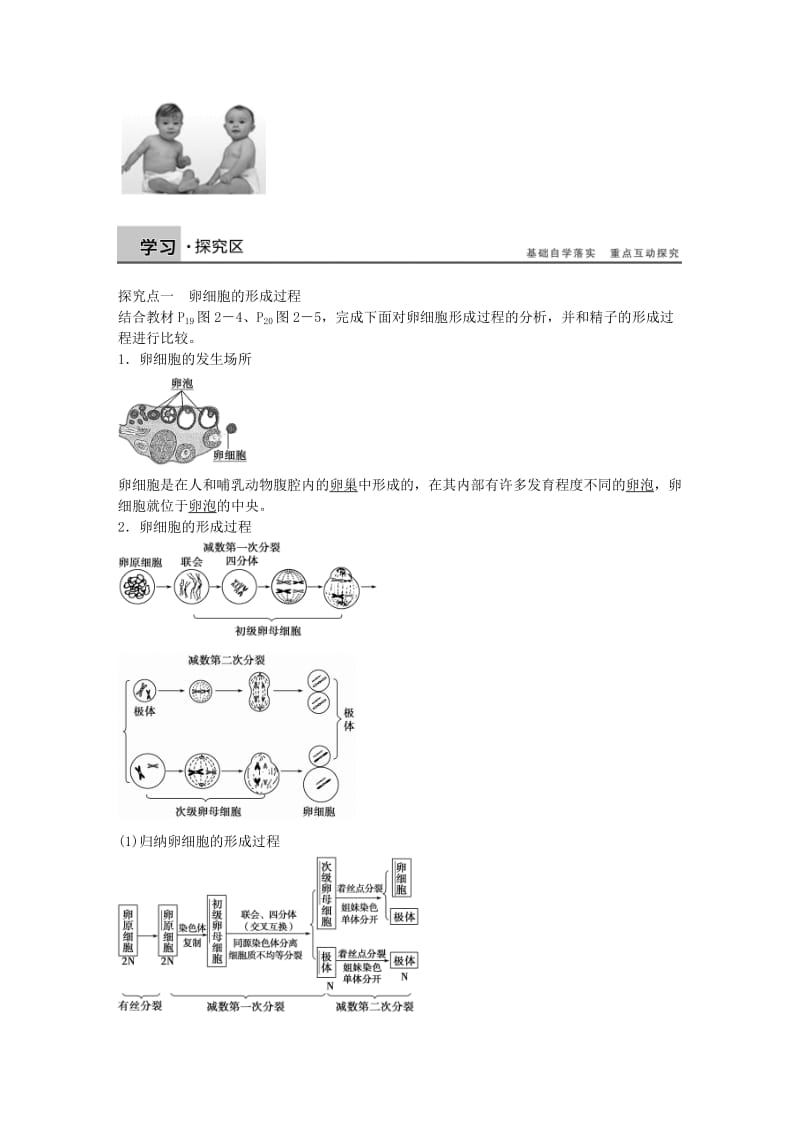 高中生物 第二章 第8课时 减数分裂和受精作用课时作业 新人教版必修2_第2页