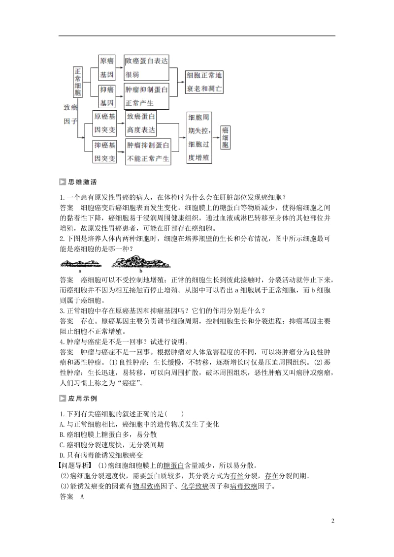 高中生物 5.3 关注癌症课时作业 苏教版必修1_第2页