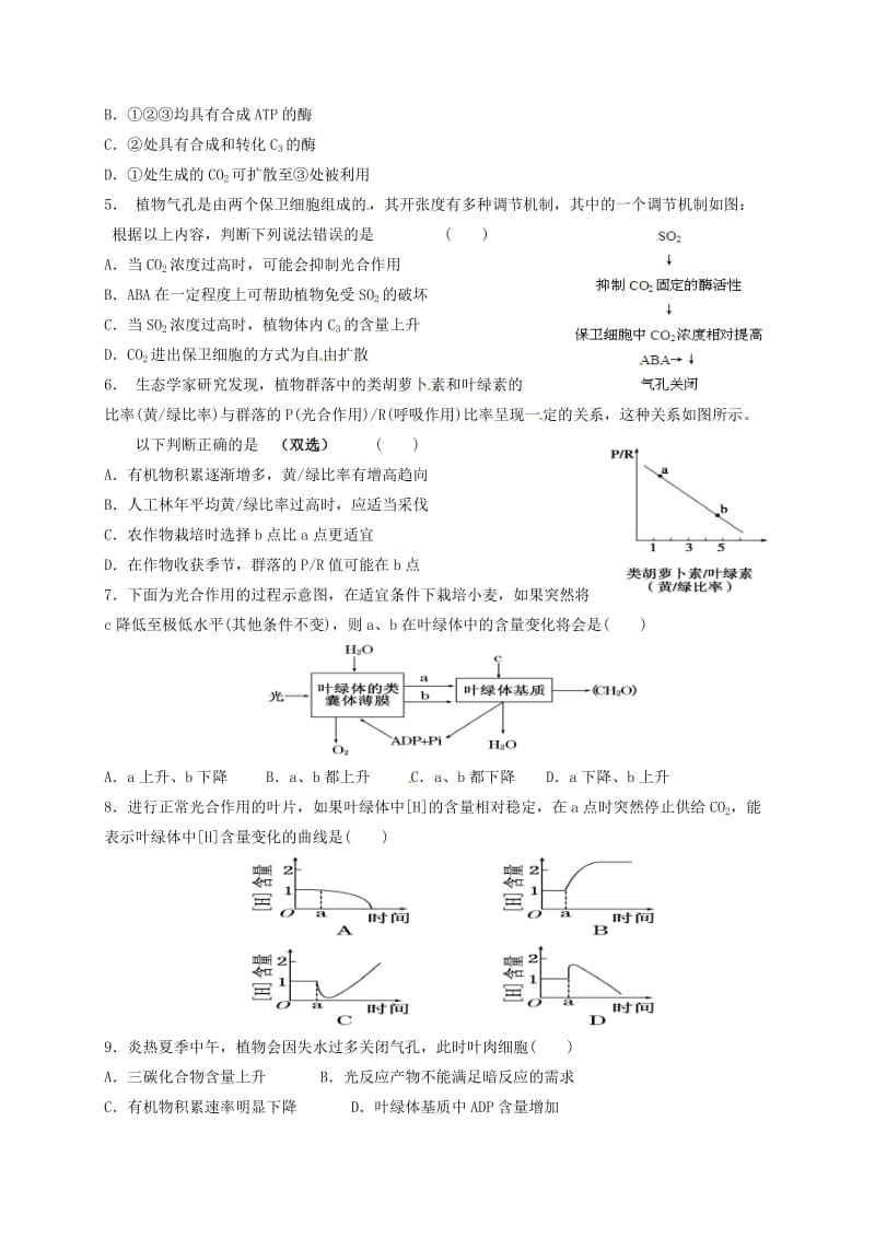 高三生物 光合作用复习学案2_第3页