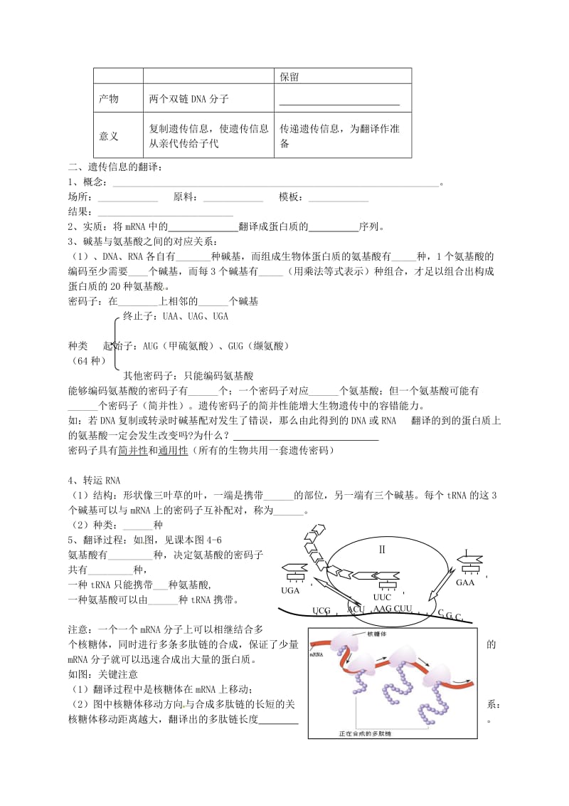 高中生物 4.1 DNA指导蛋白质合成练习新人教版必修2_第2页