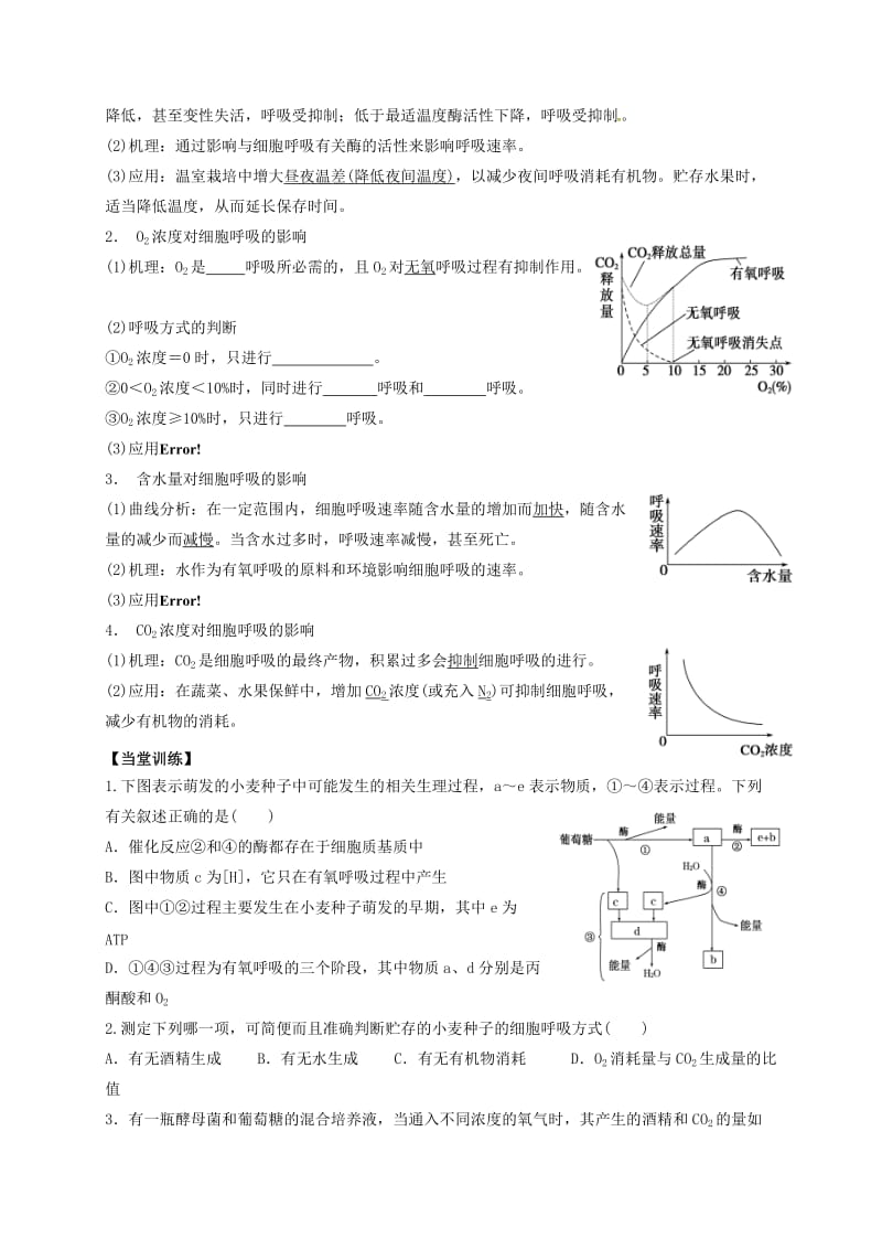 高三生物 细胞呼吸复习学案1_第2页