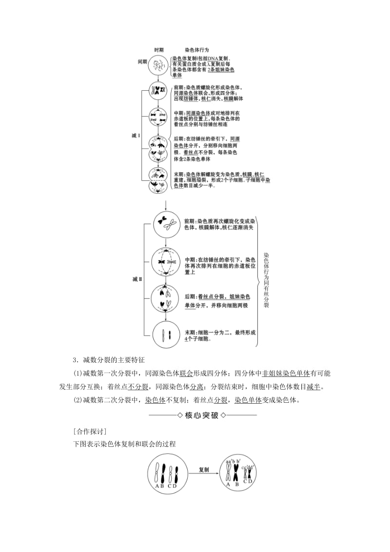 高中生物 第2章 减数分裂和有性生殖 第1节 减数分裂学案 苏教版必修2_第2页