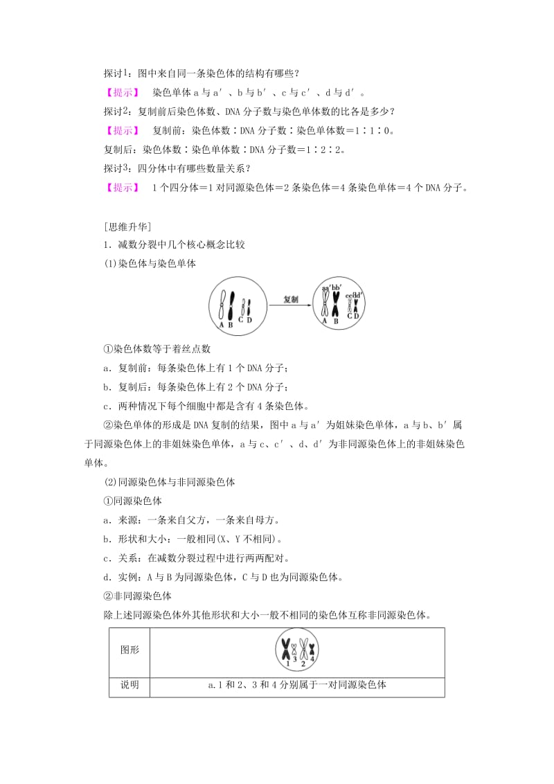 高中生物 第2章 减数分裂和有性生殖 第1节 减数分裂学案 苏教版必修2_第3页