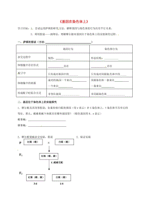 高中生物 2_2 基因在染色體上學(xué)案 新人教版必修2