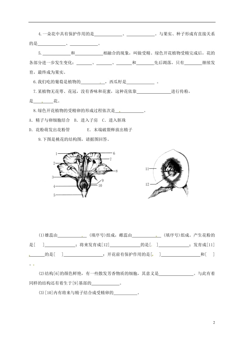 山东省临沂市七年级生物上册3.2.3开花和结果学案2无答案新版新人教版_第2页