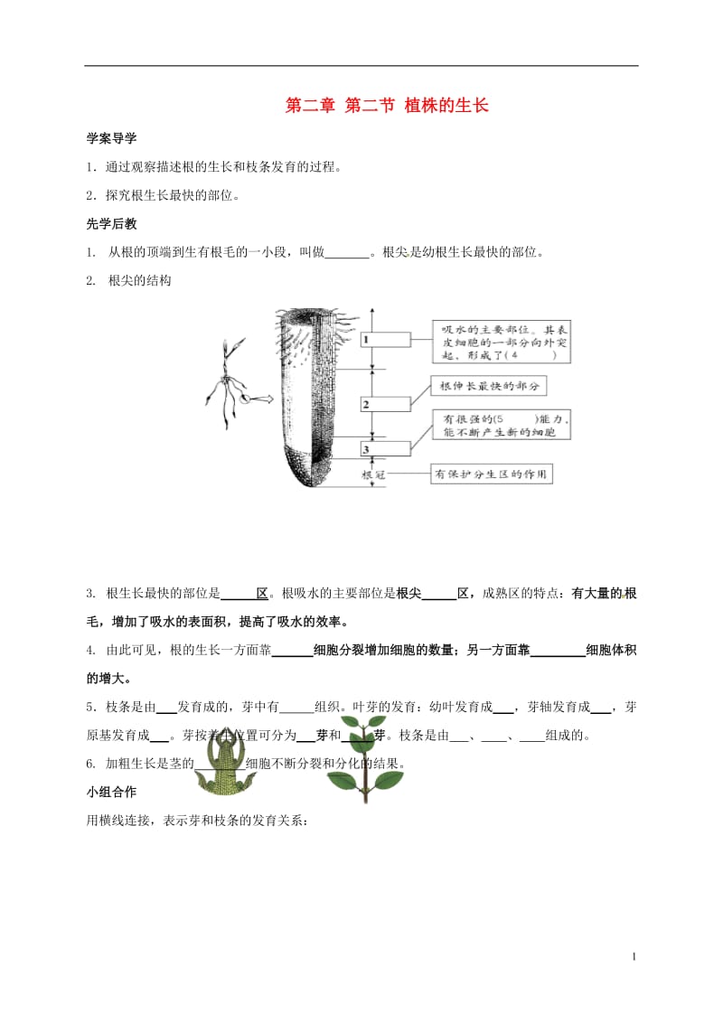 山东省临沂市七年级生物上册3.2.2植株的生长学案无答案新版新人教版_第1页