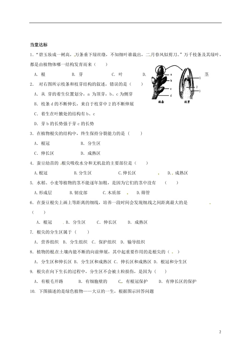 山东省临沂市七年级生物上册3.2.2植株的生长学案无答案新版新人教版_第2页