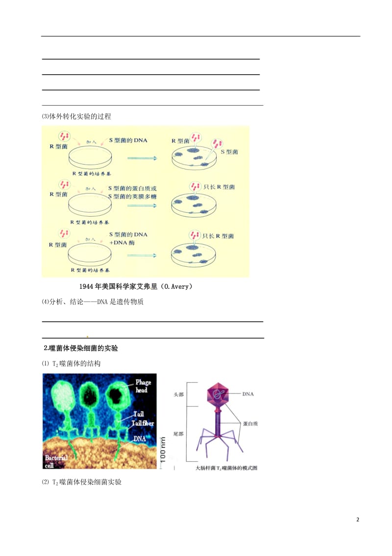 高中生物 DNA是主要的遗传物质素材 新人教版必修2_第2页