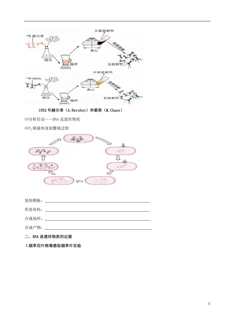 高中生物 DNA是主要的遗传物质素材 新人教版必修2_第3页