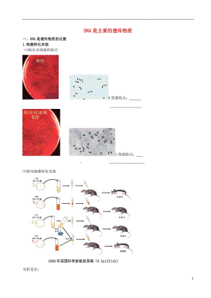 高中生物 DNA是主要的遺傳物質(zhì)素材 新人教版必修2