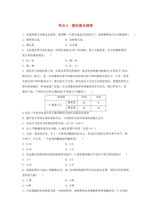 高考生物考前特訓總復習 第一部分 必考點專練 考點6 遺傳基本規(guī)律