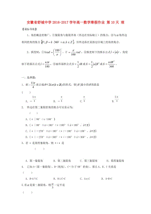 高一數(shù)學(xué)寒假作業(yè) 第10天 理