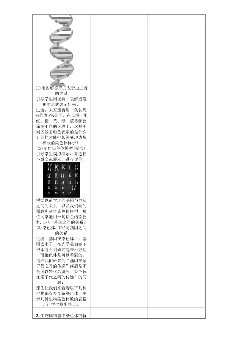 八年级生物下册 第七单元 第二章 第二节 基因在亲子代间的传递教案 （新版）新人教版_第3页