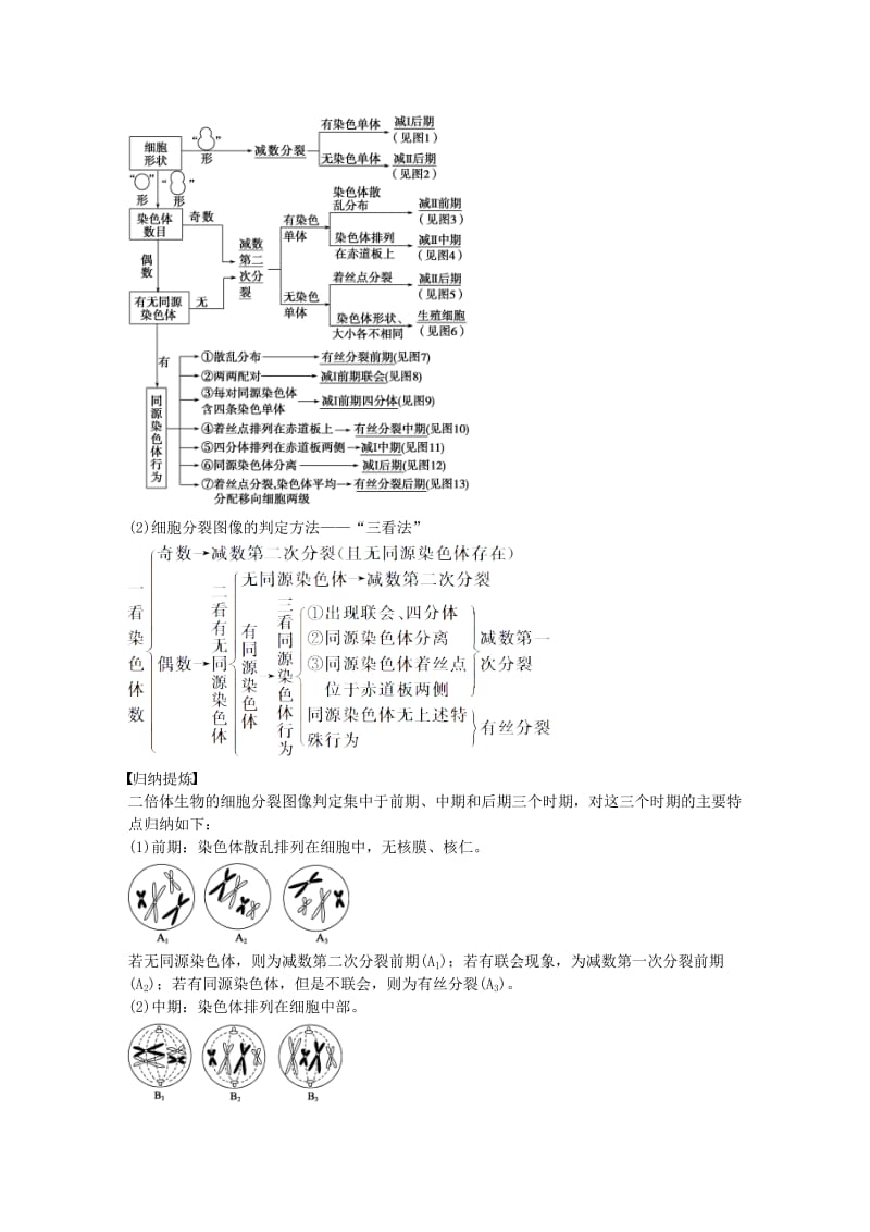 高中生物 第二章 第9课时 减数分裂和受精作用课时作业 新人教版必修2_第3页