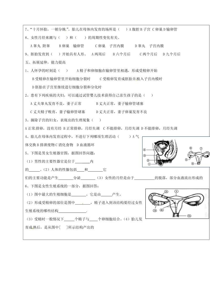 八年级生物上册 4_3.1 婴儿的诞生学案（新版）济南版_第3页