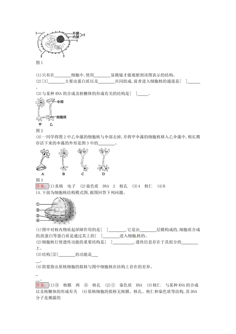 高中生物 3.3 细胞核 系统的控制中心课时训练10 新人教版必修1_第3页