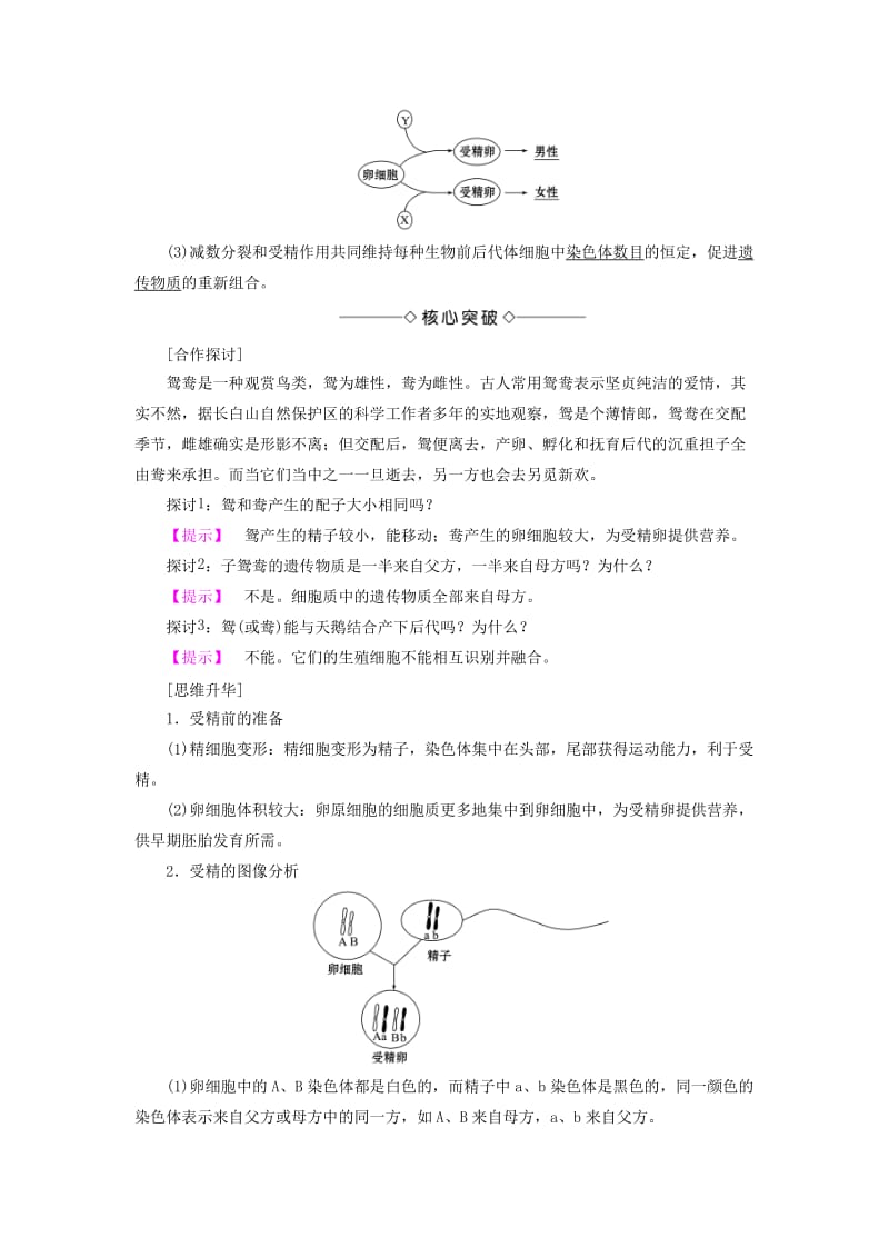 高中生物 第2章 减数分裂和有性生殖 第2节 有性生殖学案 苏教版必修2_第2页