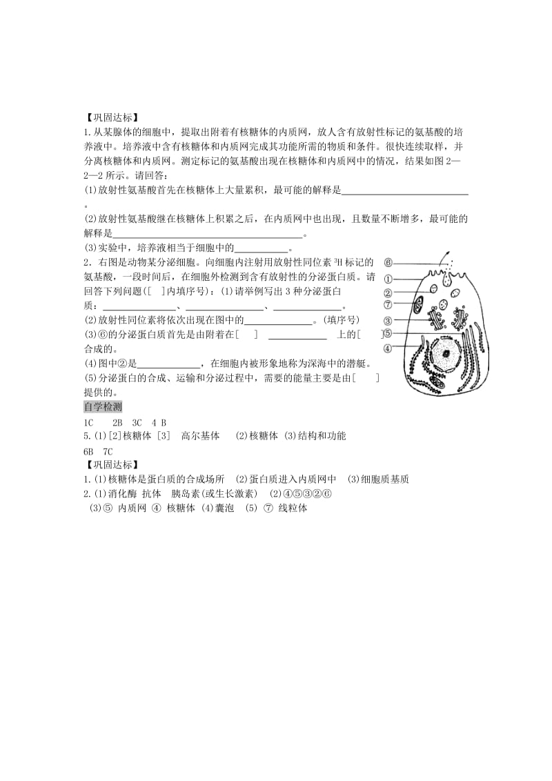 高中生物 3.2 细胞器 系统内的分工合作导学案2 新人教版必修1_第3页