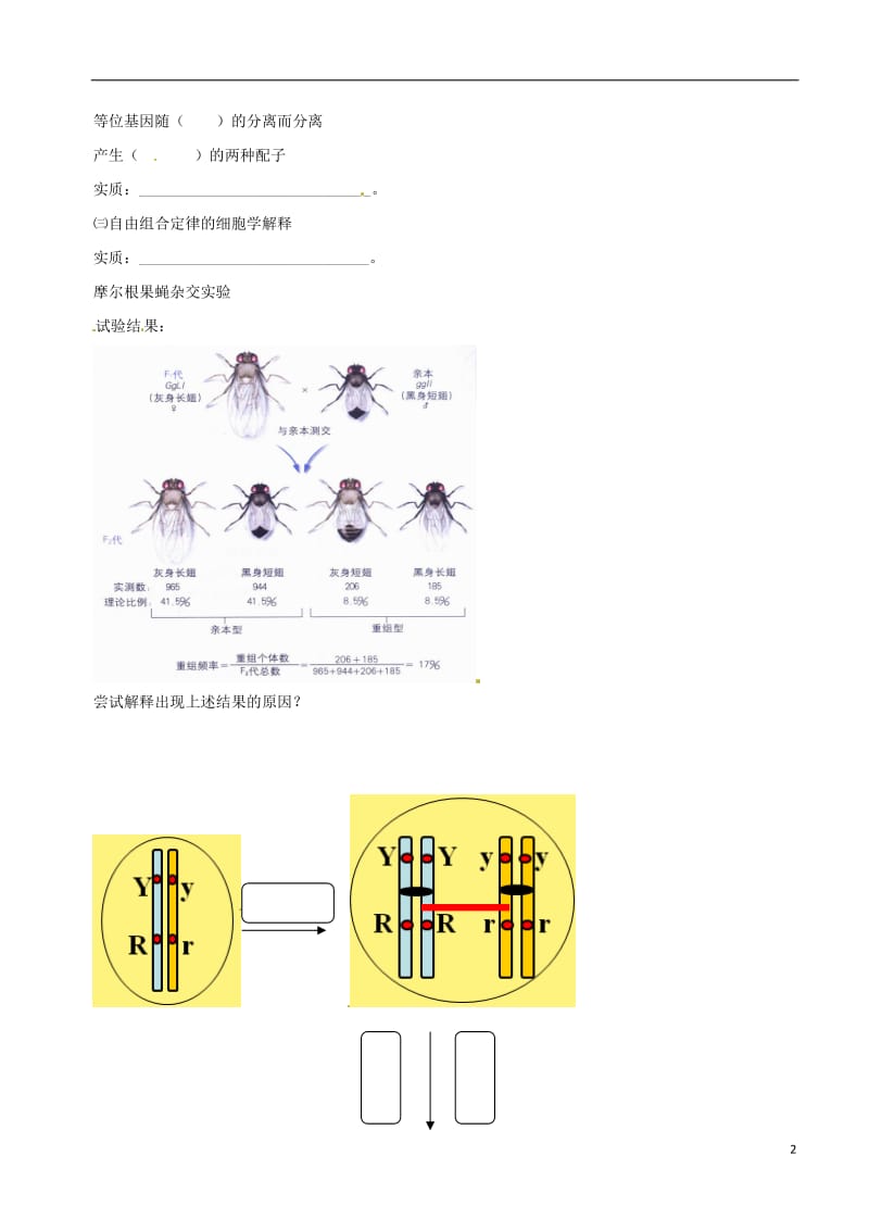 高中生物 基因在染色体上素材 新人教版必修2_第2页