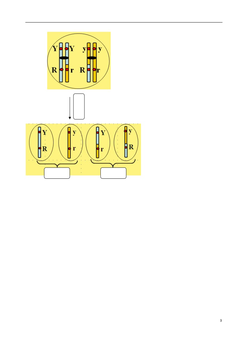 高中生物 基因在染色体上素材 新人教版必修2_第3页