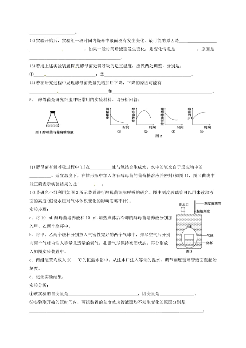 高三生物 细胞呼吸复习学案2_第3页