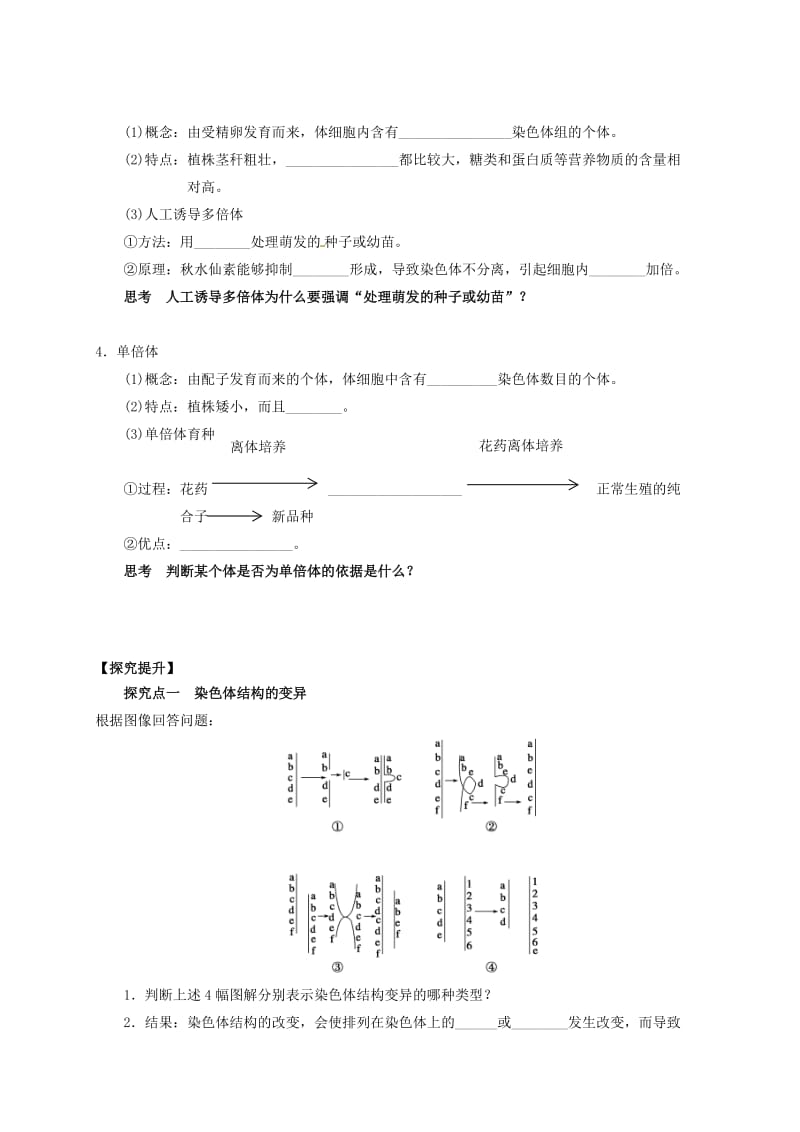 高中生物 5_2 染色体变异导学案新人教版必修2_第2页