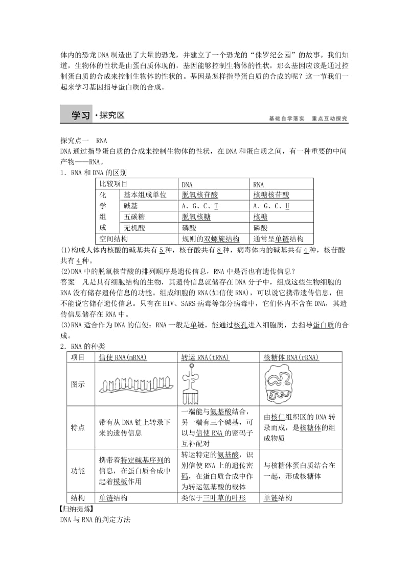 高中生物 第四章 第18课时 基因指导蛋白质的合成课时作业 新人教版必修2_第2页