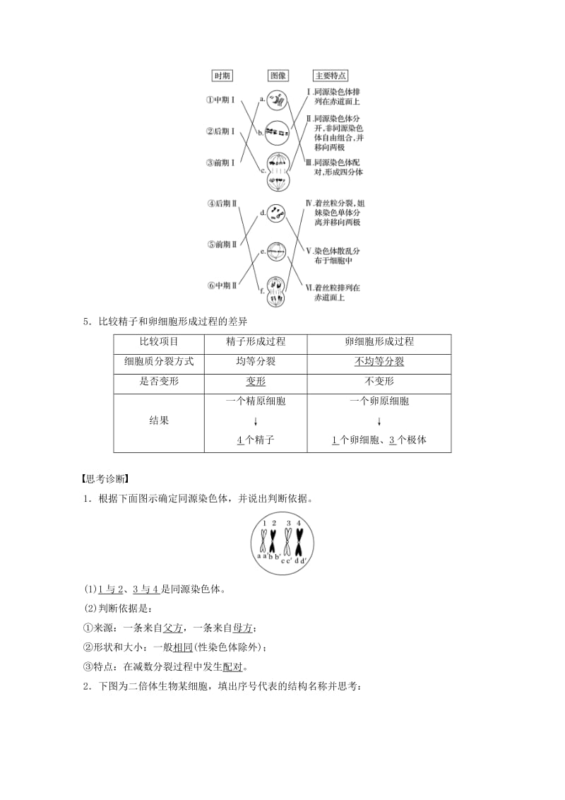 高考生物总复习 第3单元 细胞的生命历程 第12讲 减数分裂中的染色体行为_第2页