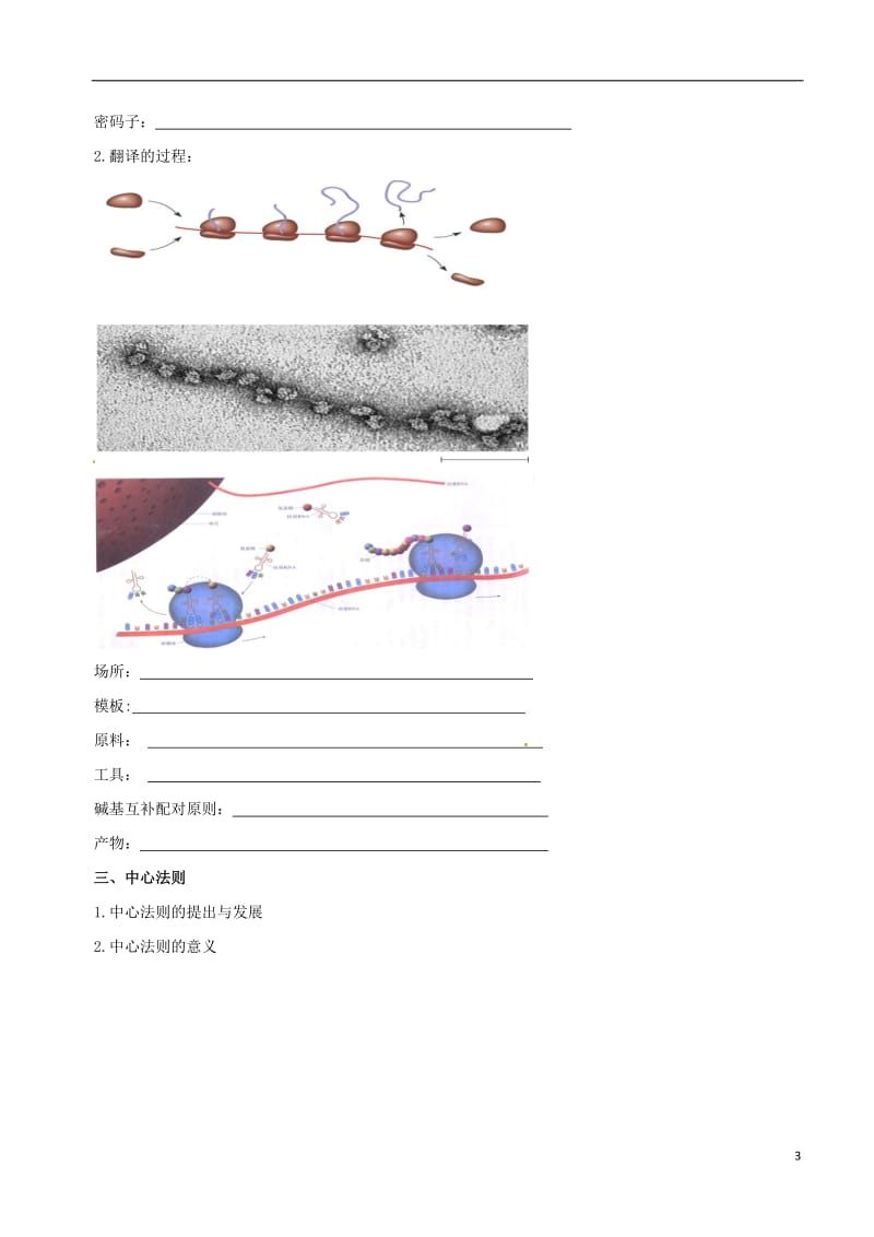 高中生物 基因的表达素材 新人教版必修2_第3页