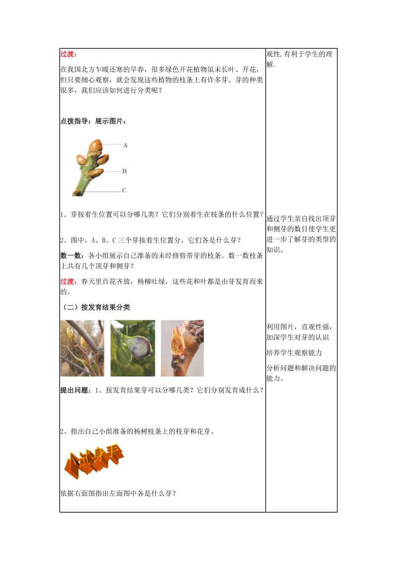 八年级生物上册 第四单元 第一章 第六节《芽的类型和发育》教学设计 济南版_第2页