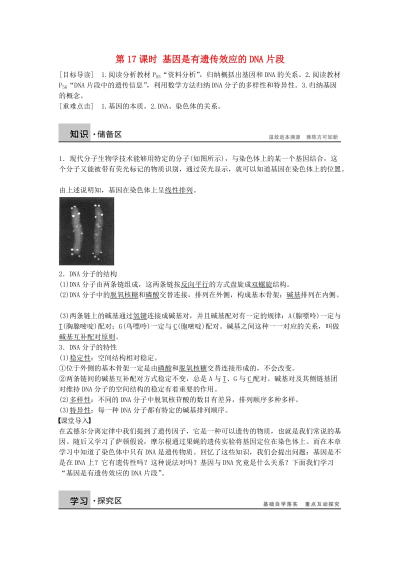 高中生物 第三章 第17课时 基因是有遗传效应的DNA片段课时作业 新人教版必修2_第1页