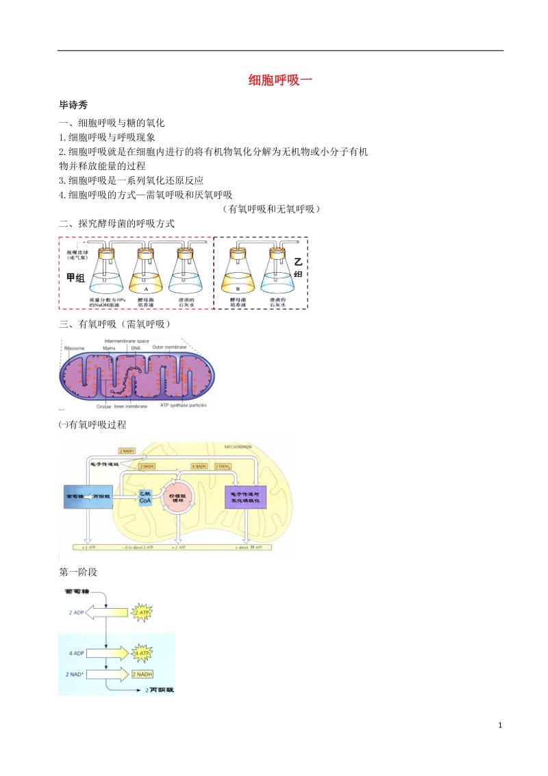 高中生物 细胞呼吸(一)有氧呼吸素材 新人教版必修1_第1页