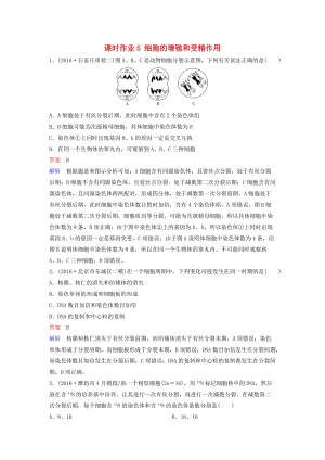 高三生物二輪復(fù)習 課時作業(yè)5 細胞的增殖和受精作用