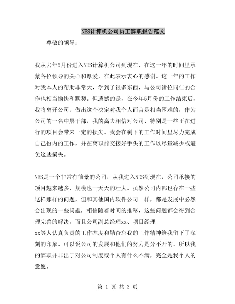 NES计算机公司员工辞职报告范文_第1页