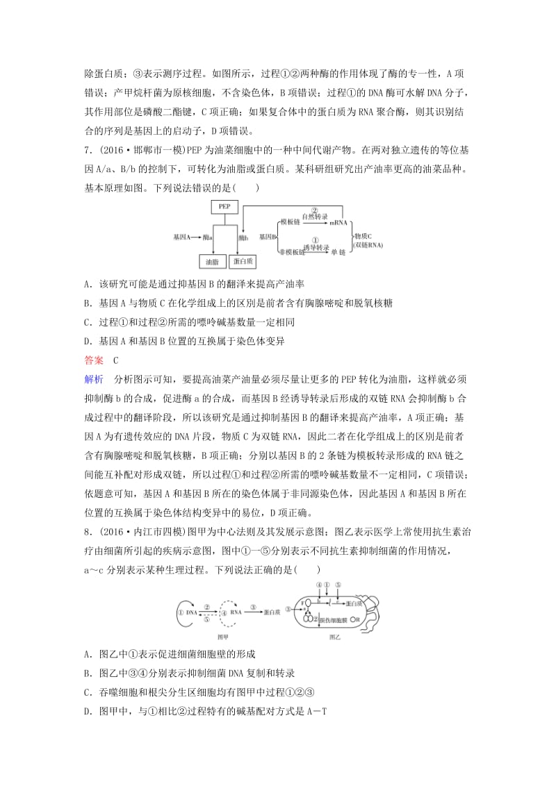 高三生物二轮复习 课时作业7 遗传的物质基础_第3页