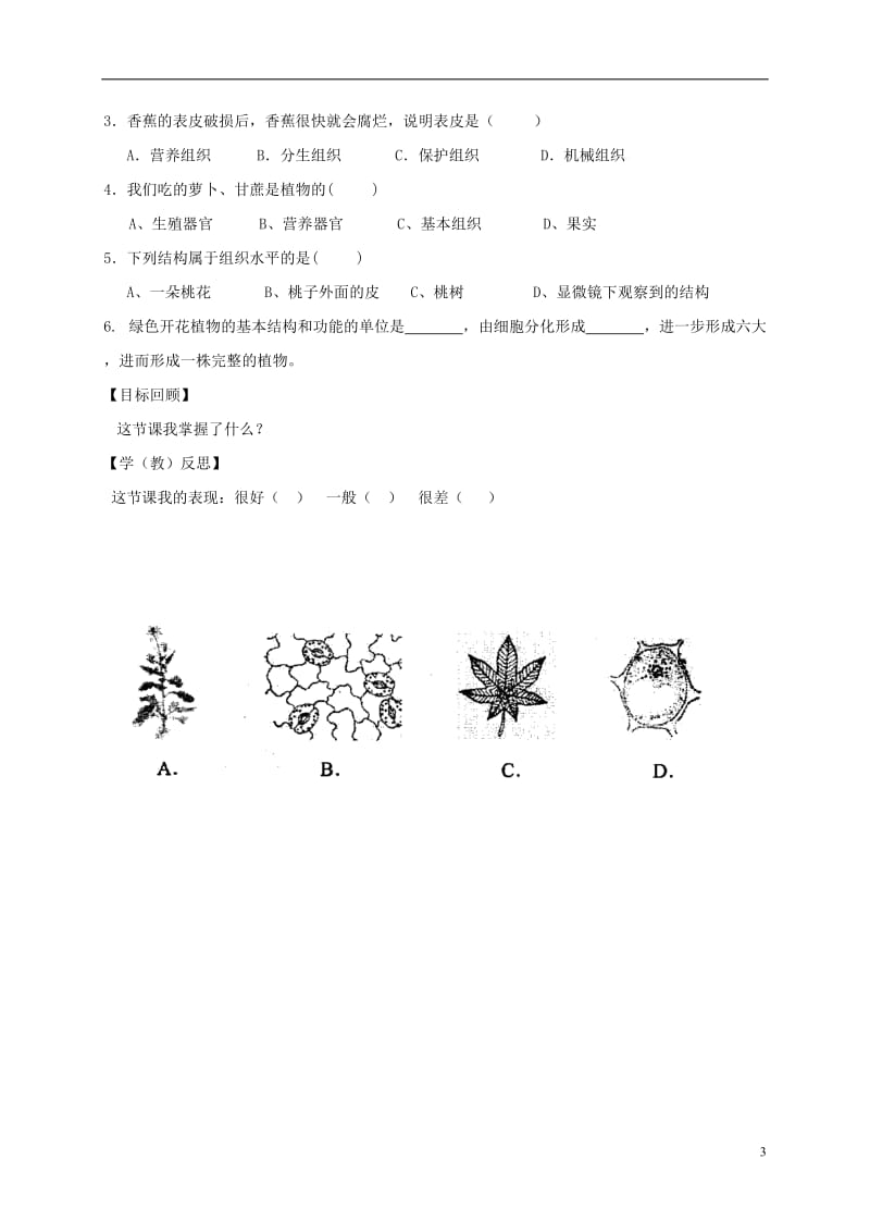 湖南省耒阳市七年级生物上册2.2.3植物体的结构层次导学案无答案新版新人教版_第3页