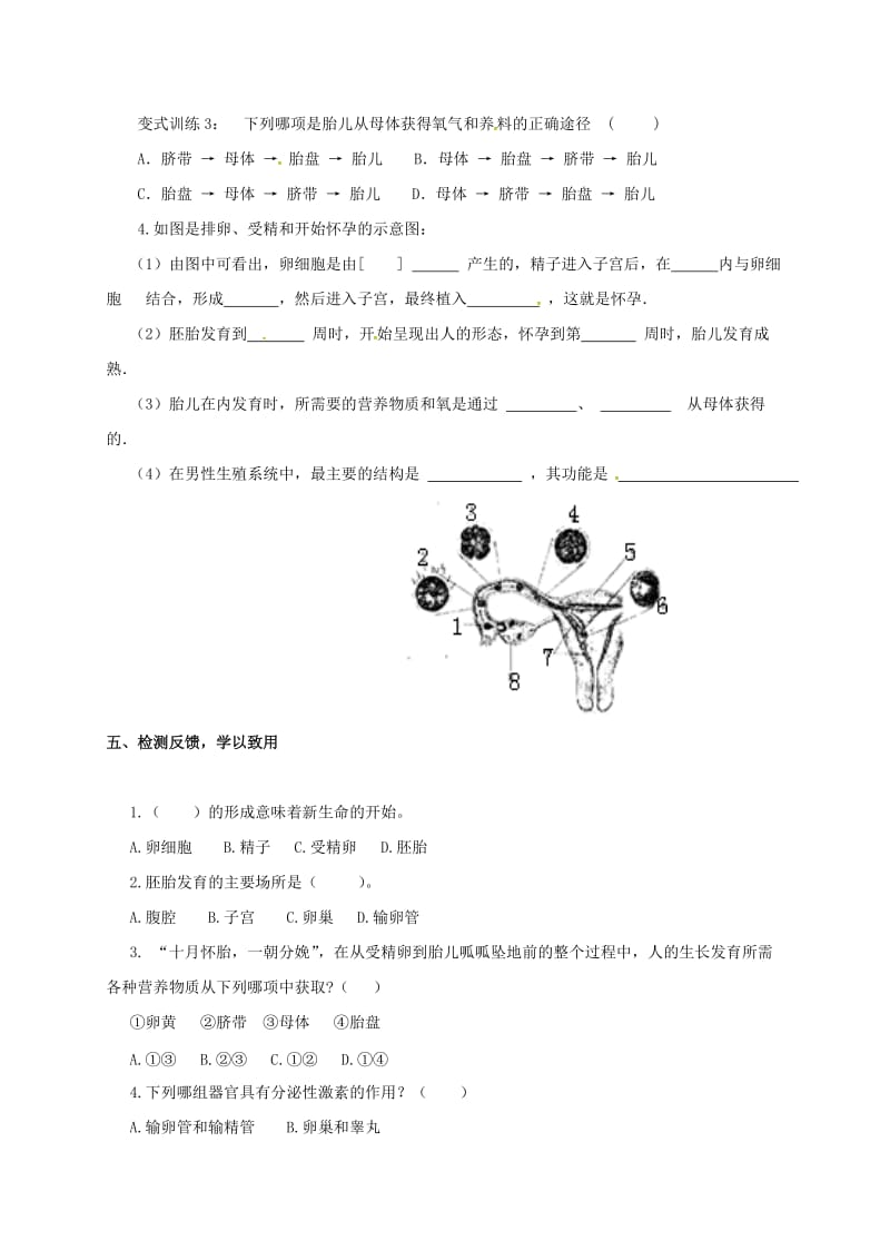 八年级生物上册 43_1 婴儿的诞生学案（新版）济南版_第3页